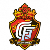庆南FC logo