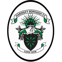 夏灵基市  logo