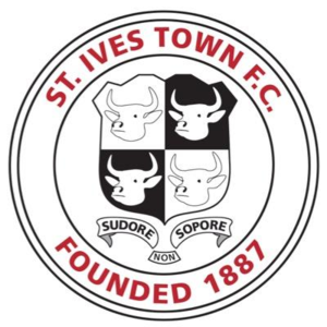 史蒂爱文斯城 logo