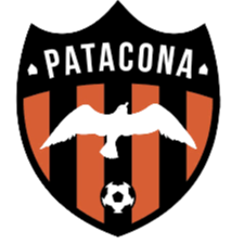 帕塔科纳U19 logo