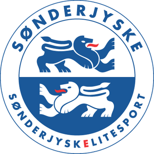 桑德捷斯基 logo