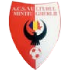 明蒂乌·盖尔利 