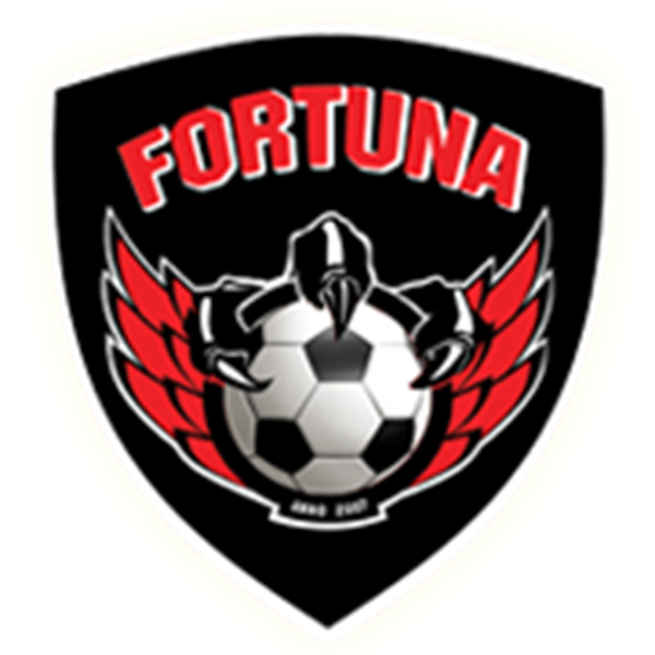 福圖納女足  logo