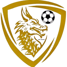 天龙FC 