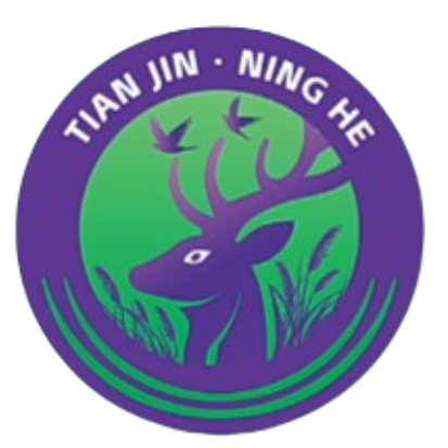 天津市寧河區(qū)盆罐莊村代表隊(duì)