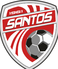 桑托斯DGU20 logo