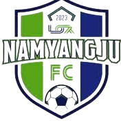 南阳洲FC  logo