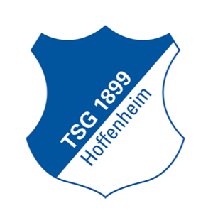 霍芬海姆U17  logo