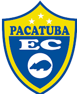 帕卡图巴  logo