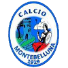 蒙特贝卢纳  logo