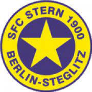 斯坦恩  logo