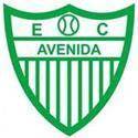 艾维尼达 logo