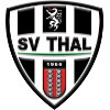 SV泰尔 logo