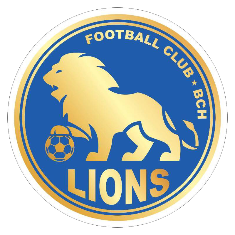 BCH獅子 logo