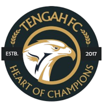 登加FC 