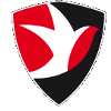 切爾滕漢姆女足 logo