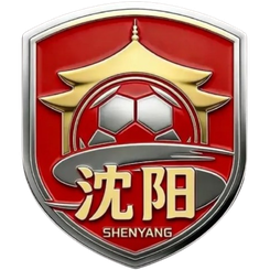 沈阳队