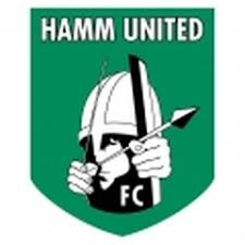 哈姆联 logo