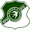 SV索尼克斯 logo