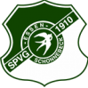 SV索尼克斯logo