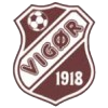 维高 U19logo