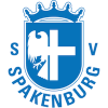 斯巴肯堡  logo