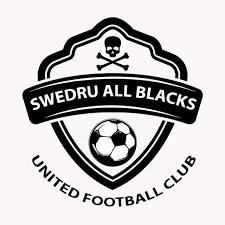 斯韦德鲁全黑 logo