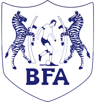 博茨瓦纳 logo
