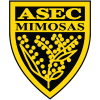 ASEC米莫萨女足队标
