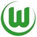 沃尔夫斯堡青年队  logo