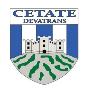 切塔泰迪瓦 logo