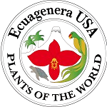 埃夸杰纳勒 