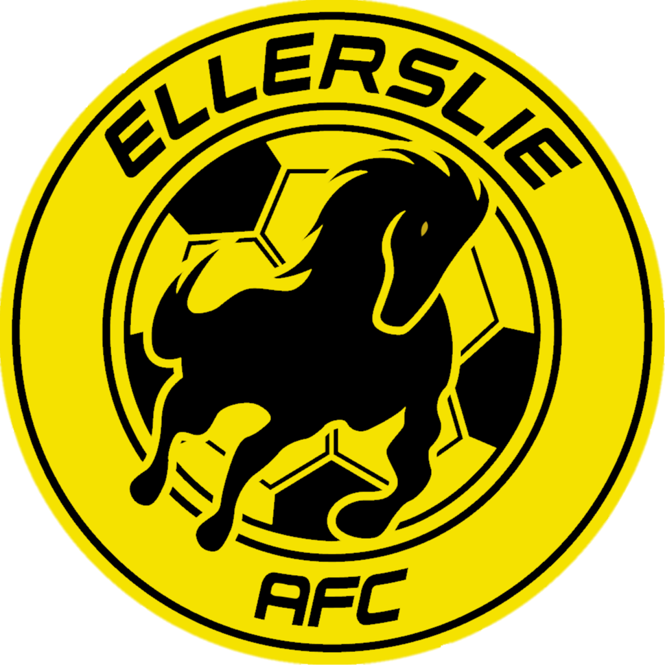 艾勒斯利女足  logo