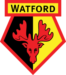 沃特福德U21 logo