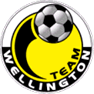 惠灵顿logo