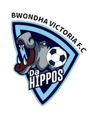 布翁达维多利亚FC