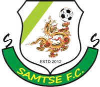 萨姆策女足 logo