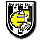 埃施青年  logo