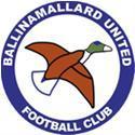 巴里纳马勒联  logo