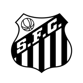 桑托斯女足 logo