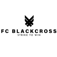 黑十字 logo