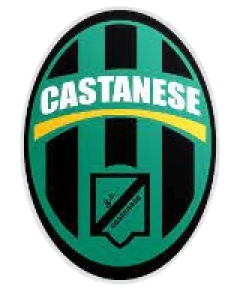 卡斯坦瑟  logo