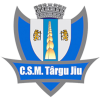 塔尔古久 