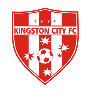 金士顿城  logo
