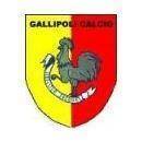 加里波利  logo