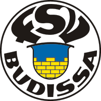巴迪莎 logo