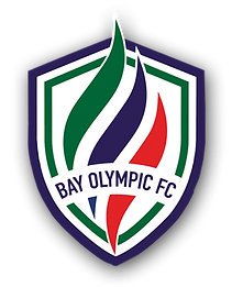 芬奇布尔斯联logo