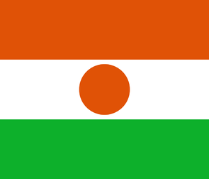 尼日尔女足  logo