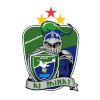 米纳斯女足 logo