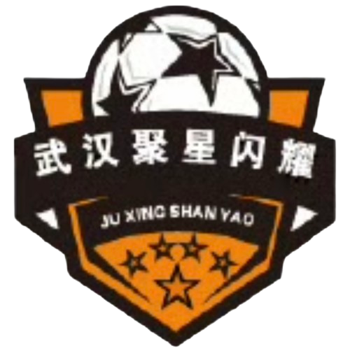 武汉聚星闪耀 logo
